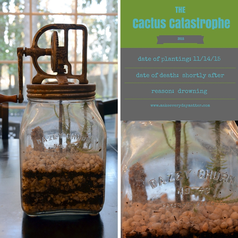 cactus catastrophe