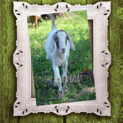 And in this subdivision she had a goat….e…i…e…i…o